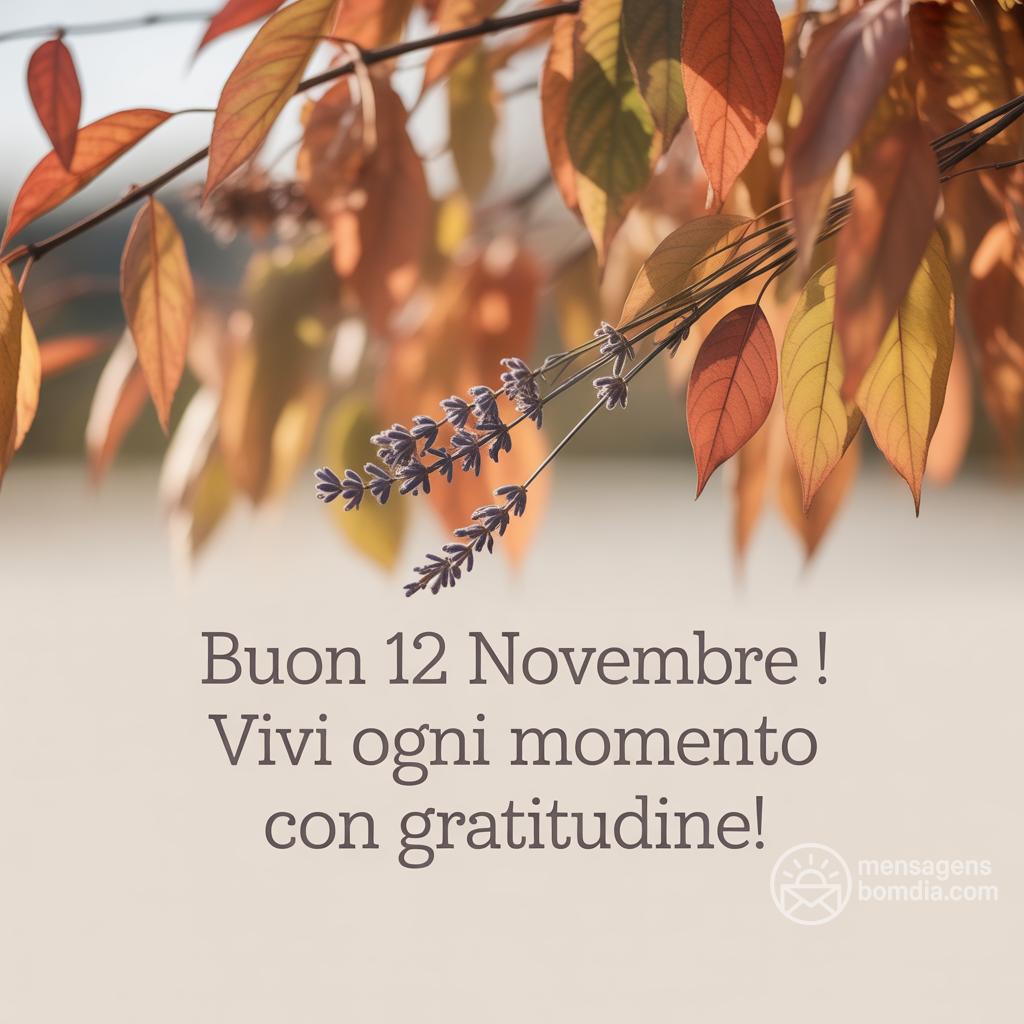 Buon  12 novembre ! Vivi ogni momento con gratitudine!