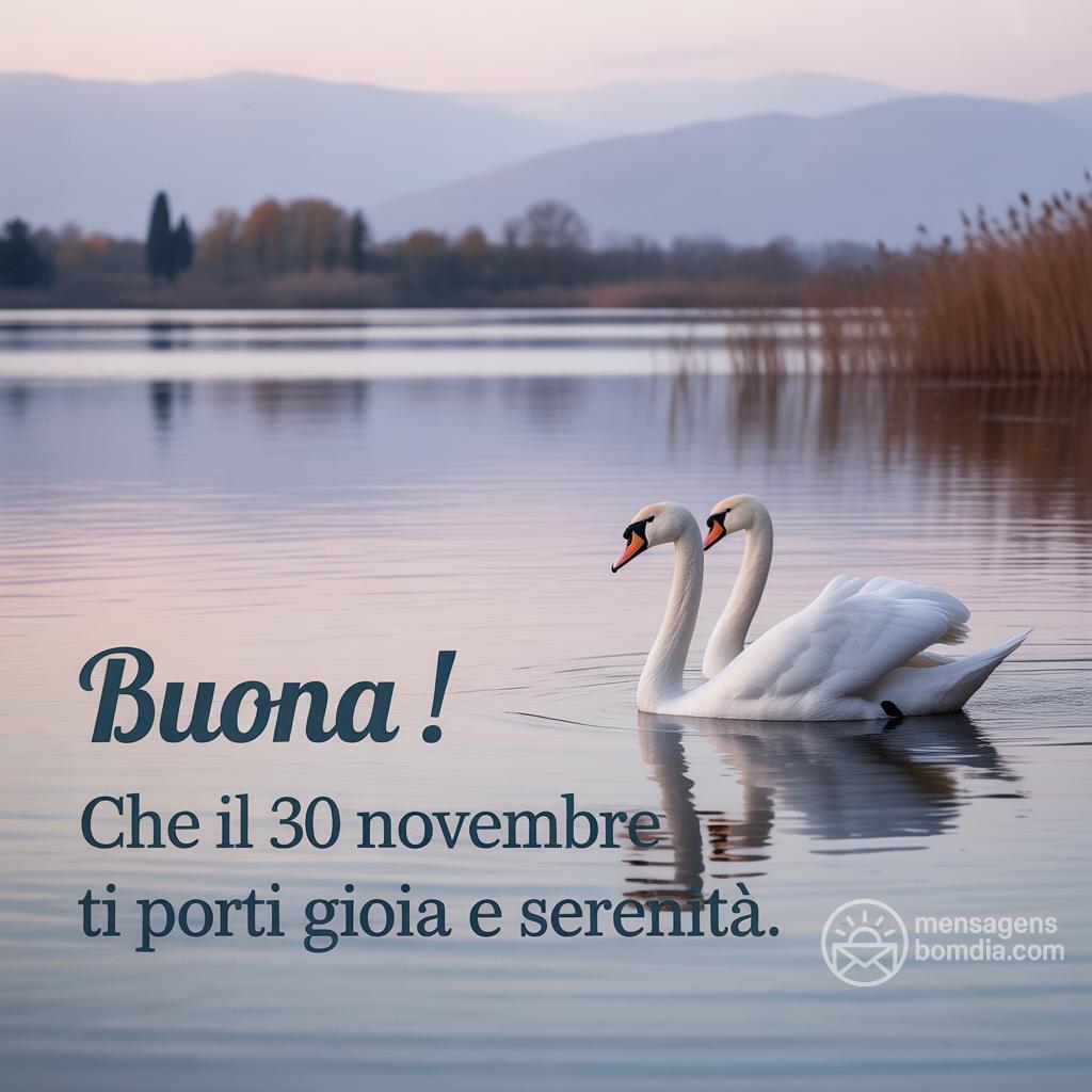 Buona ! Che il 30 novembre  ti porti gioia e serenità.